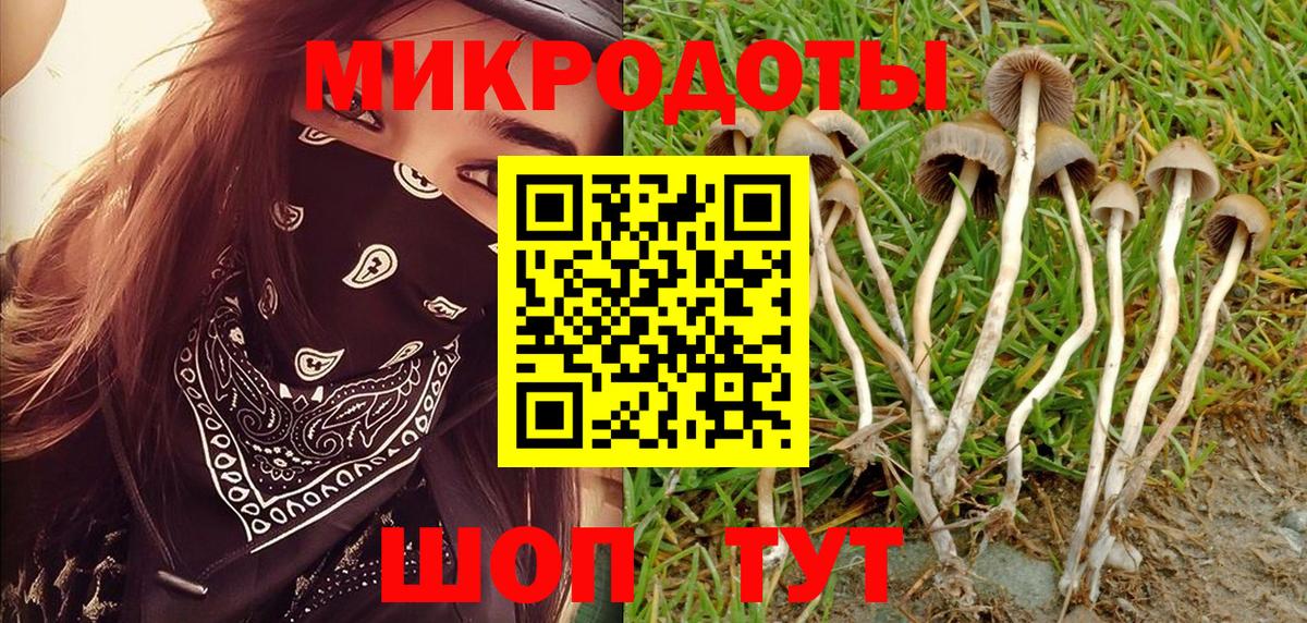 Галлюциногенные грибы мухоморы  Вход с VPN  Владимир 